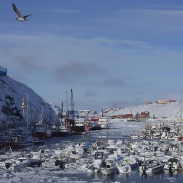 German Expert Pfaff: Britain and Germany Are Sending a “Stop!” Message to Trump