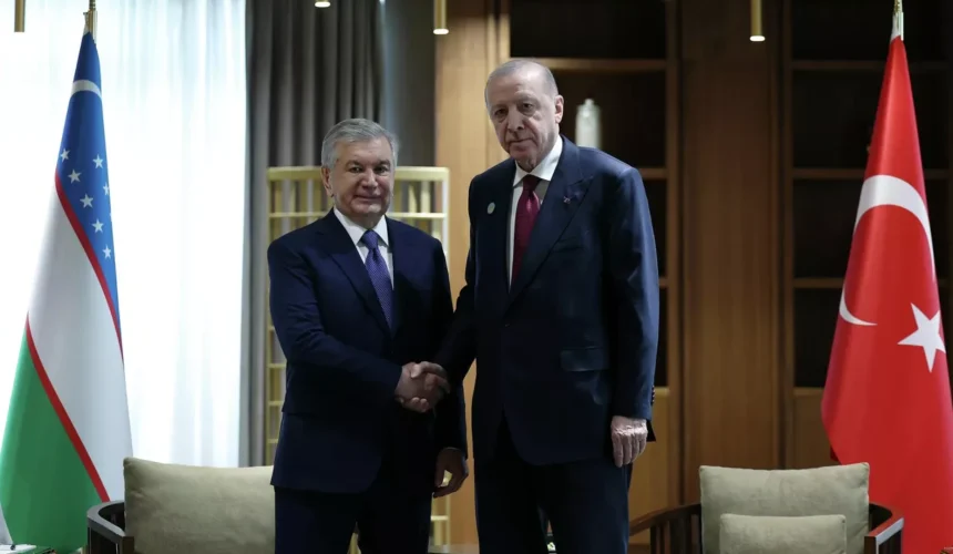 President Recep Tayyip Erdoğan meets with Uzbek President Shavkat Mirziyoyev