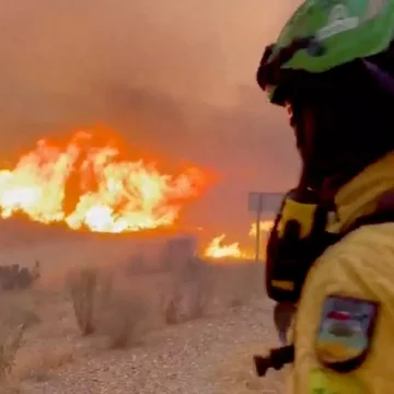 Spain Wildfire Tragedy: 12 Dead, 19 Missing Amid Intense Heatwave