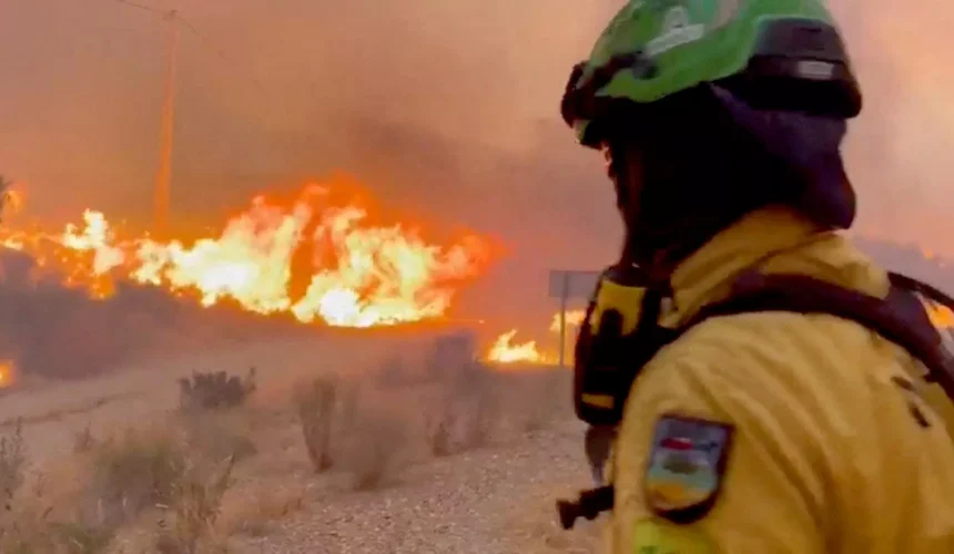 Spain Wildfire Tragedy: 12 Dead, 19 Missing Amid Intense Heatwave